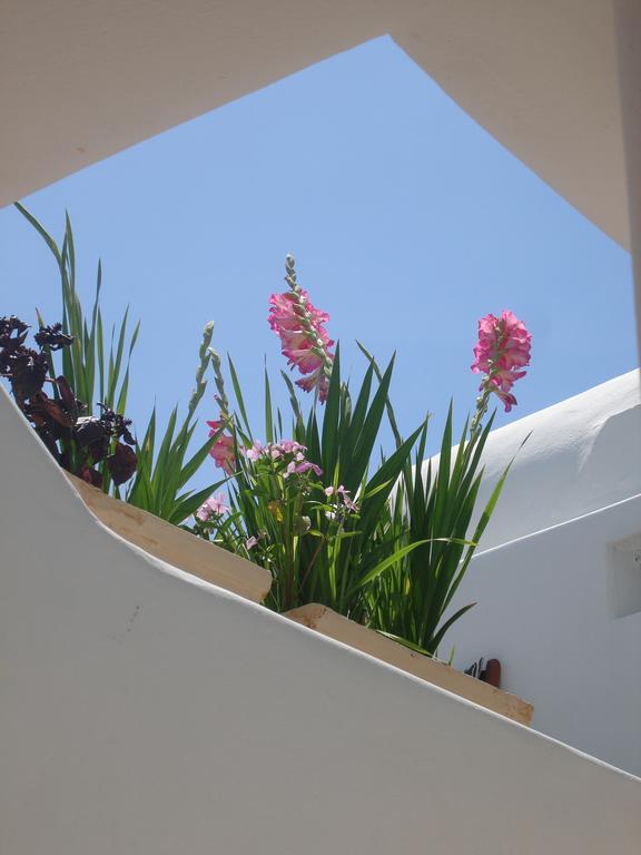 Hotel Philippi Mykonos Town Zewnętrze zdjęcie