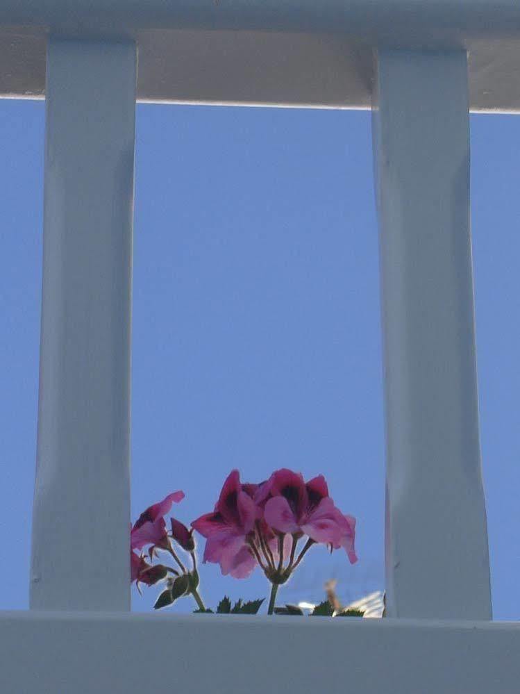 Hotel Philippi Mykonos Town Zewnętrze zdjęcie